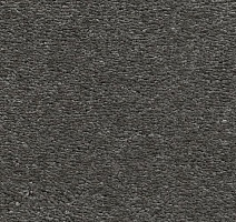 Ковролин AW Invictus Heroicus 97 фото 1 | FLOORDEALER